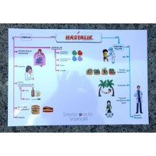 Şematik Kavram Seti